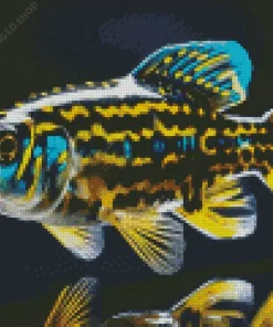 Black And Yellow Fish Diamond Painting