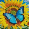 Butterfly And Flower Diamond Painting