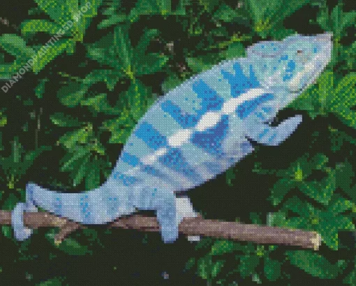 Blue Chameleon Diamond Painting