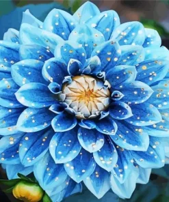 Blue Chrysanthemum Diamond Painting