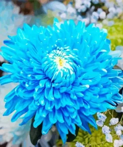 Chrysanthemum Plant Diamond Painting