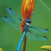 Blue Dragonfly Insect Diamond Painting