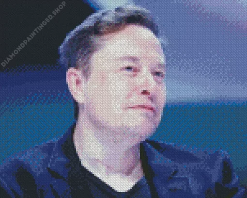 Elon Musk Diamond Painting