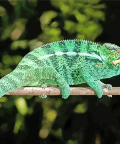 Panther Chameleon Diamond Painting