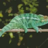 Panther Chameleon Diamond Painting