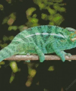 Panther Chameleon Diamond Painting