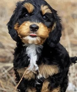 Labradoodle Puppy Diamond Painting