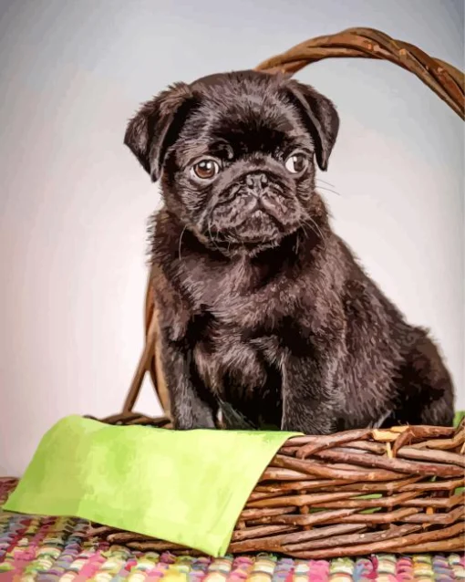 Puppy In A Basket Diamond Painting