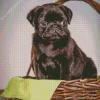 Puppy In A Basket Diamond Painting
