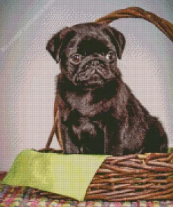 Puppy In A Basket Diamond Painting