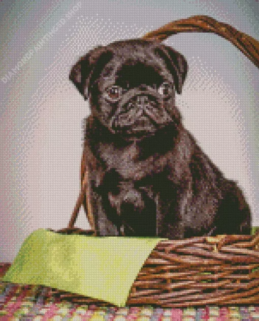 Puppy In A Basket Diamond Painting