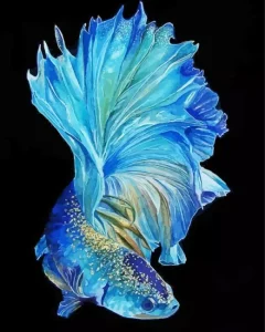 Blue Betta Fish Diamond Painting
