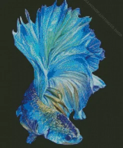 Blue Betta Fish Diamond Painting