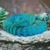 Blue Bush Viper Diamond Painting