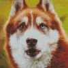Blue Husky Dog Diamond Painting