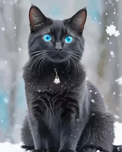 Blue Eyed Black Cat Diamond Painting