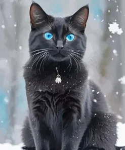 Blue Eyed Black Cat Diamond Painting