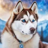 Brown Husky Dog Diamond Painting