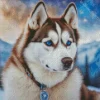 Brown Husky Dog Diamond Painting