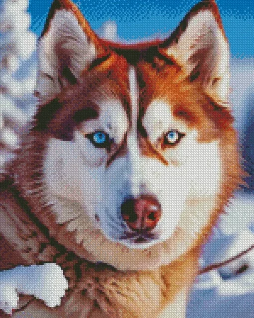 Brown Husky Diamond Painting