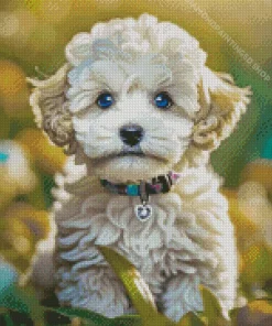 Blue Eyed Maltipoo Diamond Painting