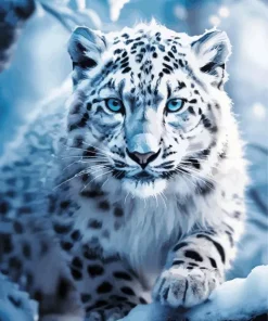Snow Leopard Diamond Painting