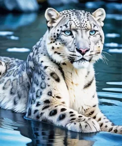 Leopard In Water Diamond Painting