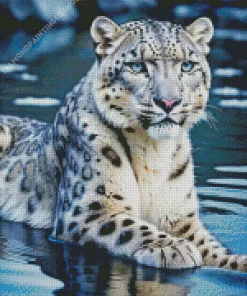 Leopard In Water Diamond Painting