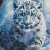 Snow Leopard Diamond Painting