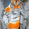 Blue Eyed Tiger Diamond Painting