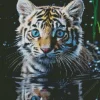 Tiger Cub Diamond Painting