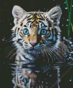 Tiger Cub Diamond Painting