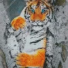 Blue Eyed Tiger Diamond Painting