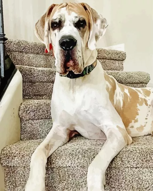 fawnequin great dane Diamond Paintings Fawnequin Great Dane Diamond Painting
