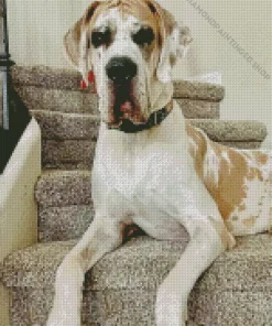 Fawnequin Great Dane Diamond Painting