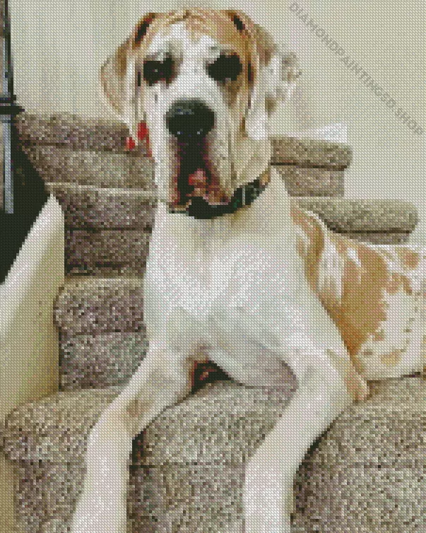 fawnequin great dane Diamond With Numbers Fawnequin Great Dane Diamond Painting