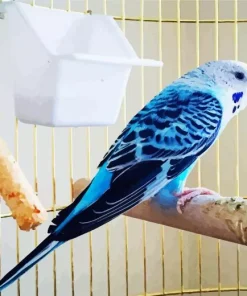 Canary Bird Diamond Painting