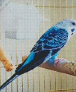 Canary Bird Diamond Painting