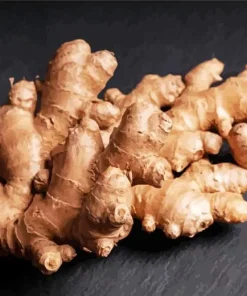 Ginger Plant Diamond Painting