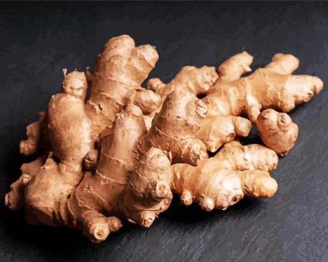 Ginger plant Diamond By Numbers Ginger Plant Diamond Painting