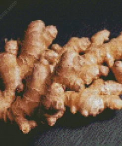 Ginger Plant Diamond Painting