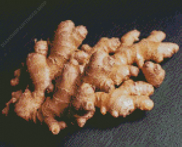Ginger plant Diamond Paints Ginger Plant Diamond Painting