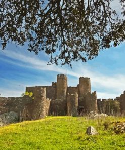 Salvatierra Diamond Painting