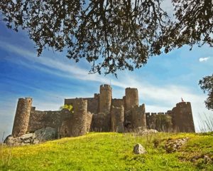 Salvatierra Diamond Painting