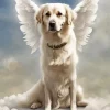 Aesthetic Dog Angel Diamond Painting