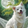 Dog In A Hammock Diamond Painting