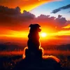 Dog In A Sunset Diamond Painting