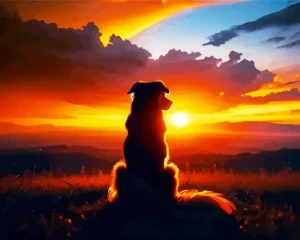Dog In A Sunset Diamond Painting