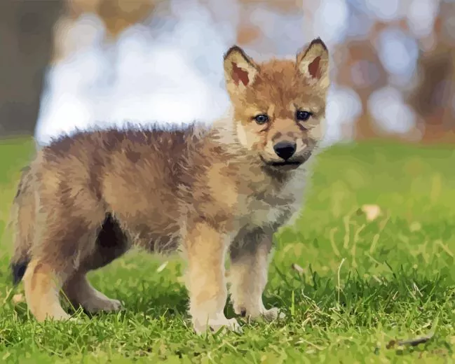 baby wolf Diamond Paints Baby Wolf Diamond Painting