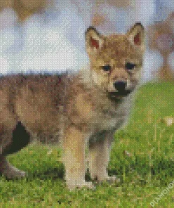 Baby Wolf Diamond Painting